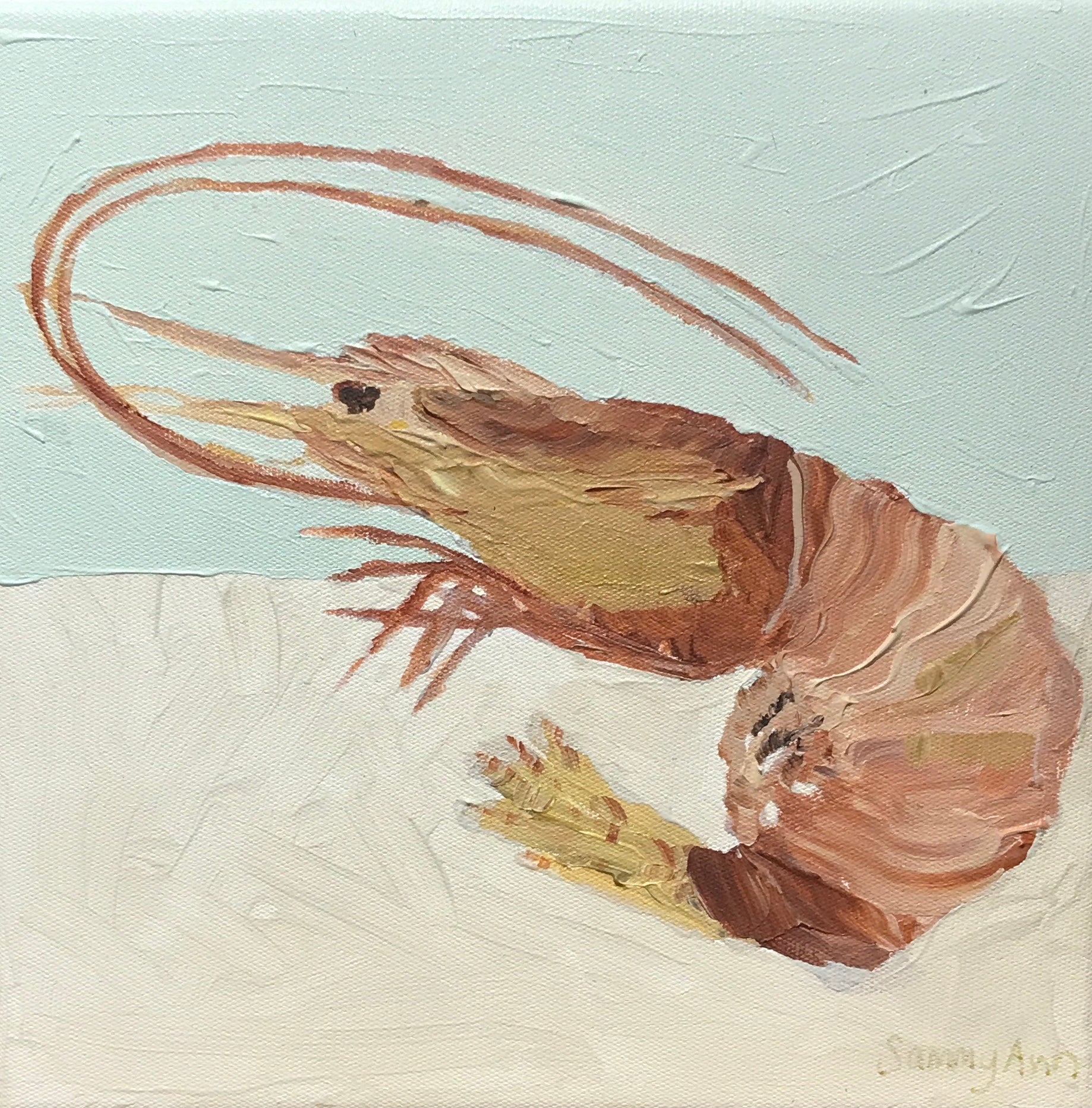 Sammy Ann - Prawn Portraits 1
