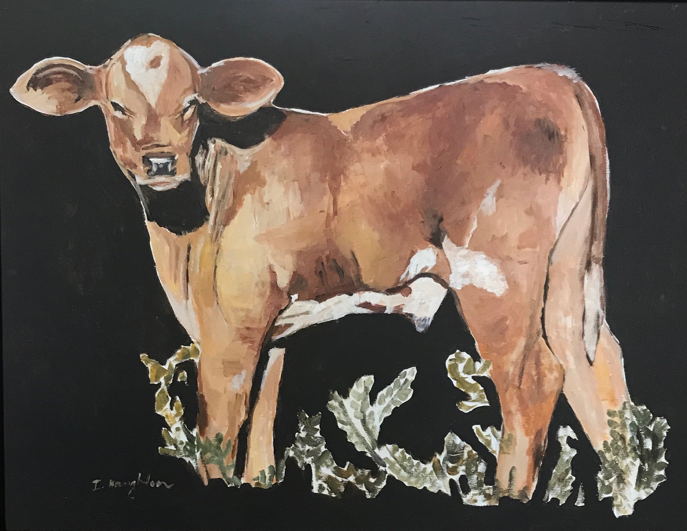 Ingrid Haughton - Calf
