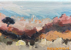 Cheryl Richardson - Pink Dawn