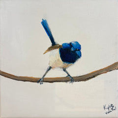 Kylie van Tol - Blue Wren 7