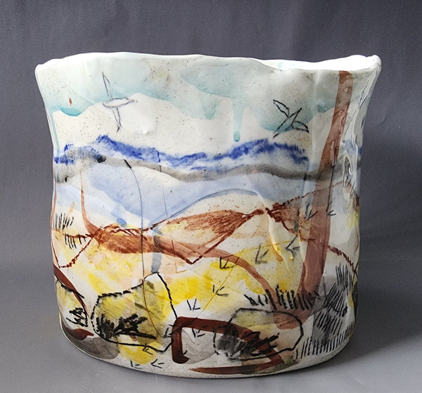 Catherine Allen - Gannets in Flight