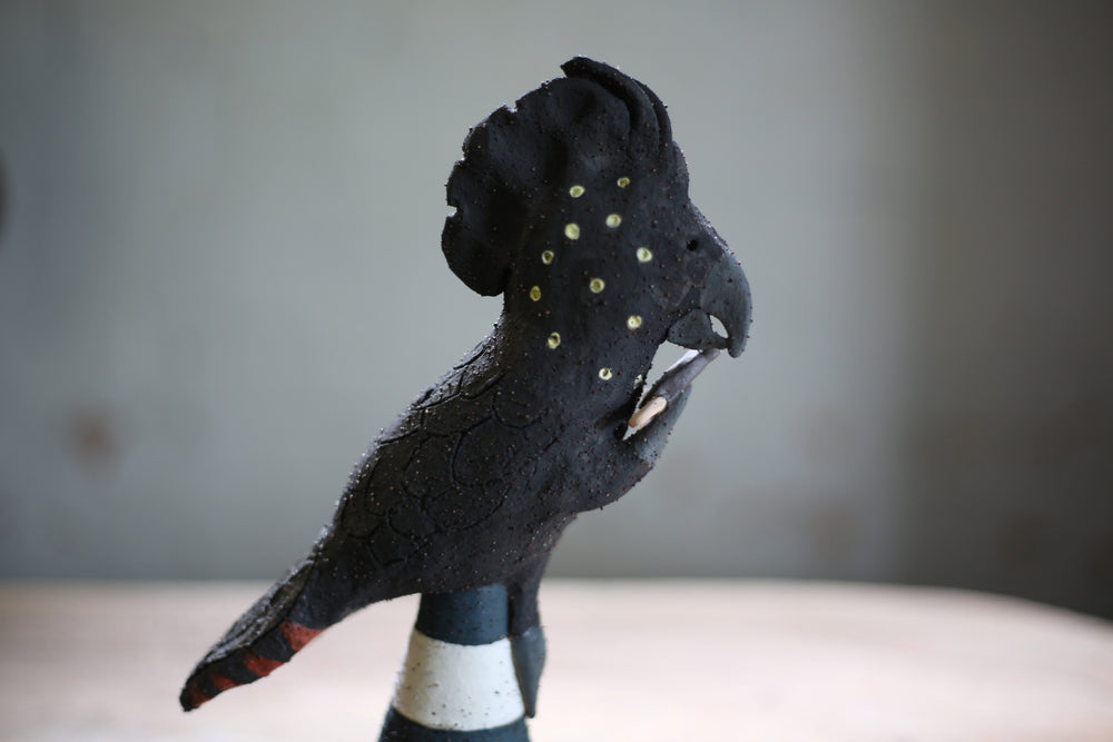 Kalyanii Holden - Gloria And The glossy Cockatoo