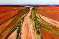Polly Kimmorley - Grazing on Green