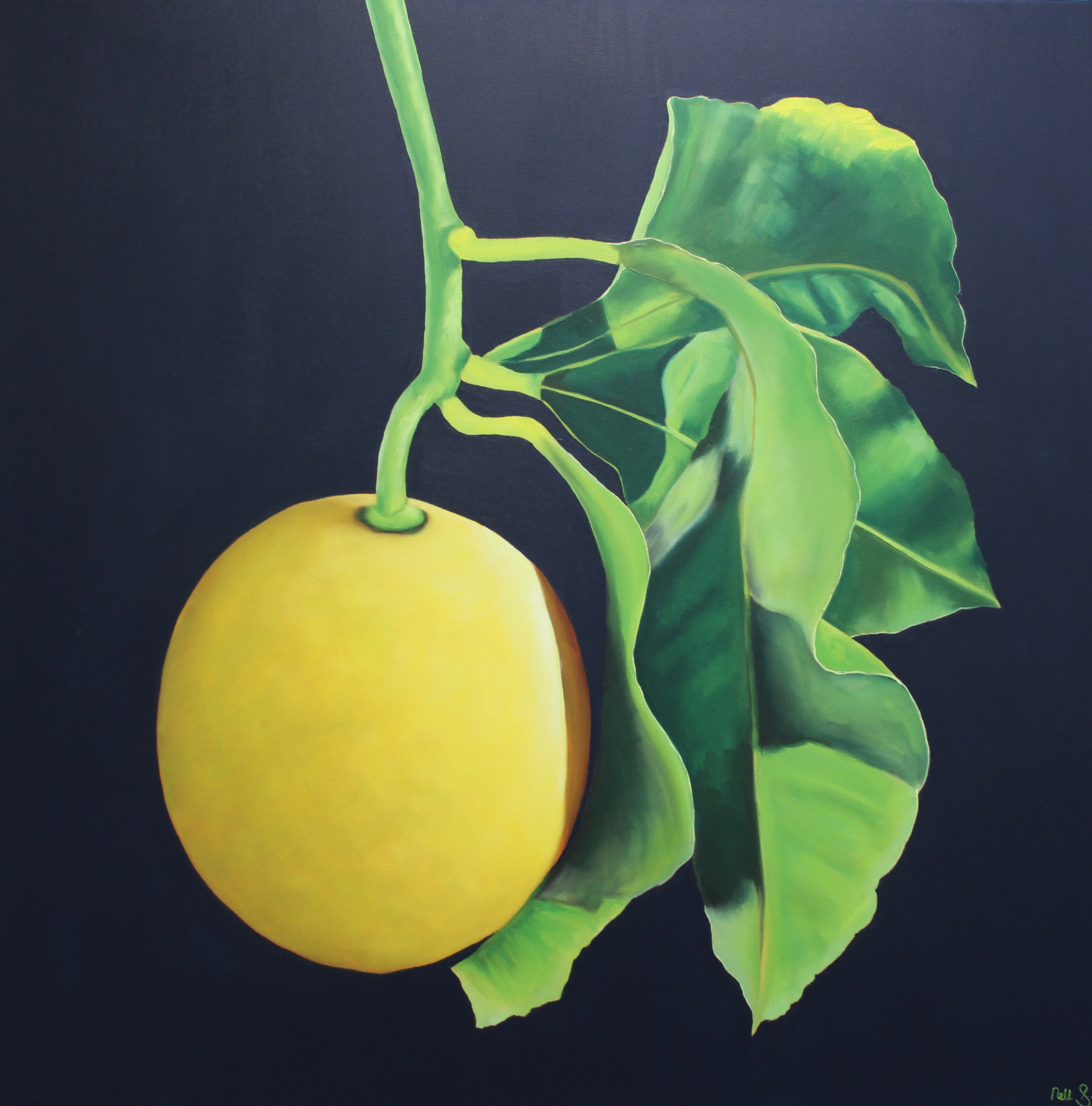 Nell Symonds - Scilla