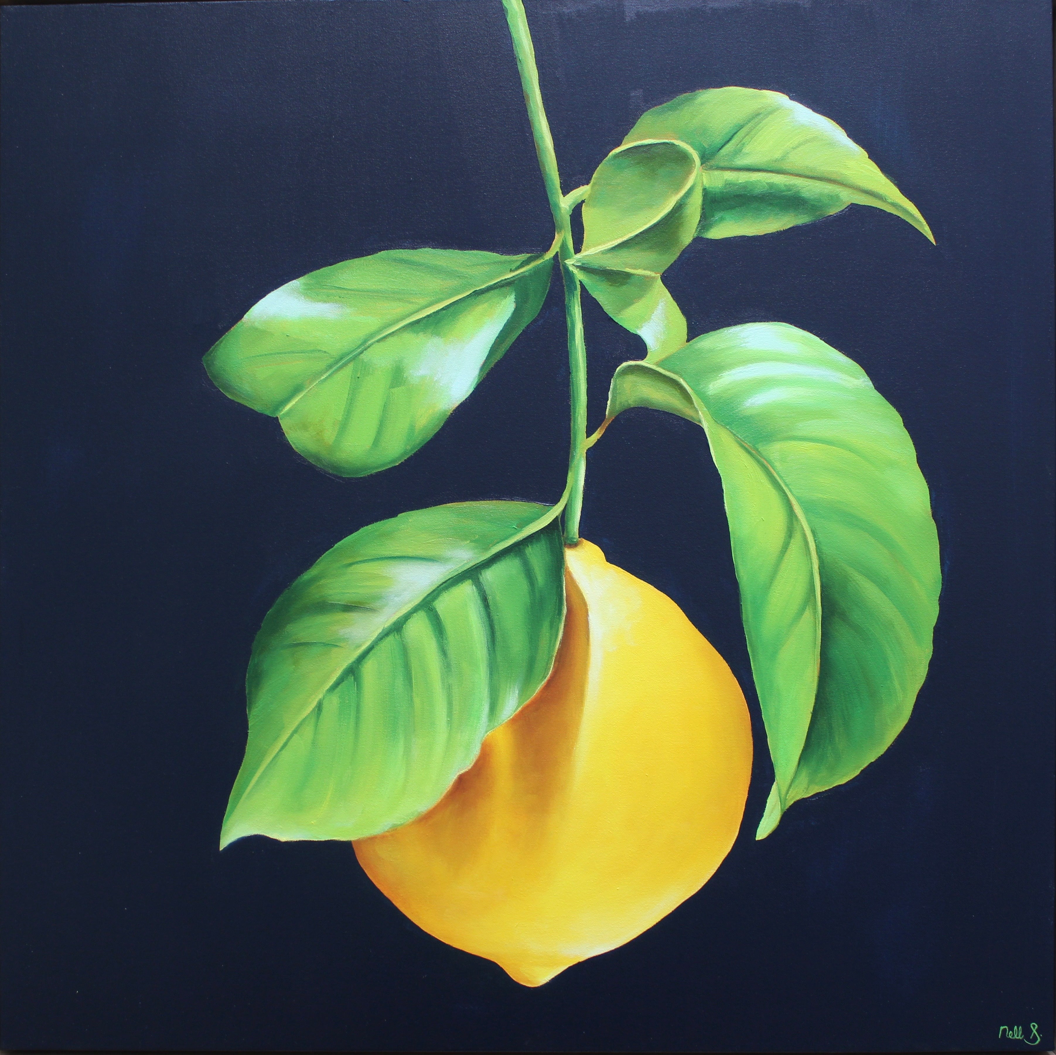 Nell Symonds -Alberobello