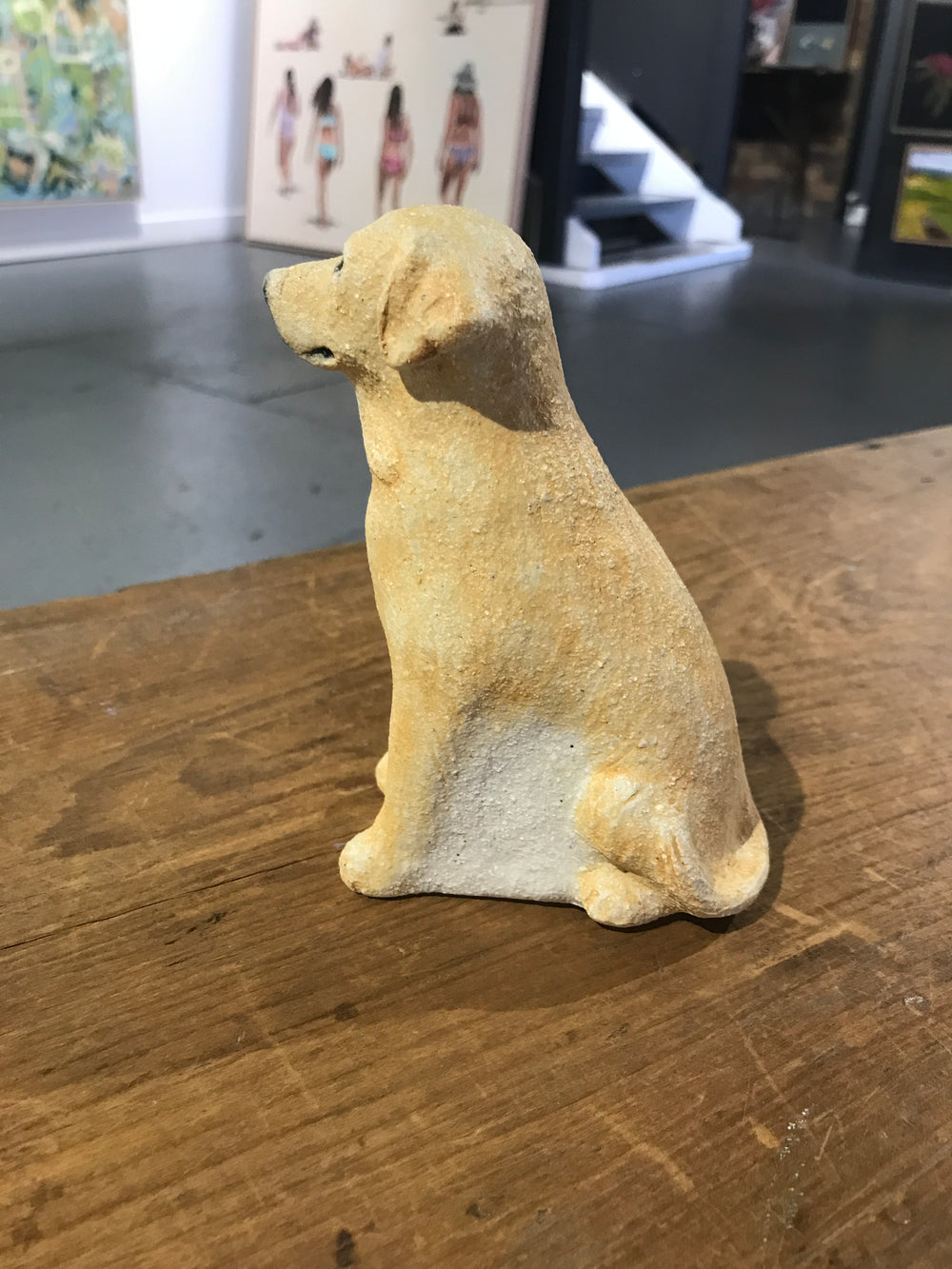 Penny Ruthberg - Labrador