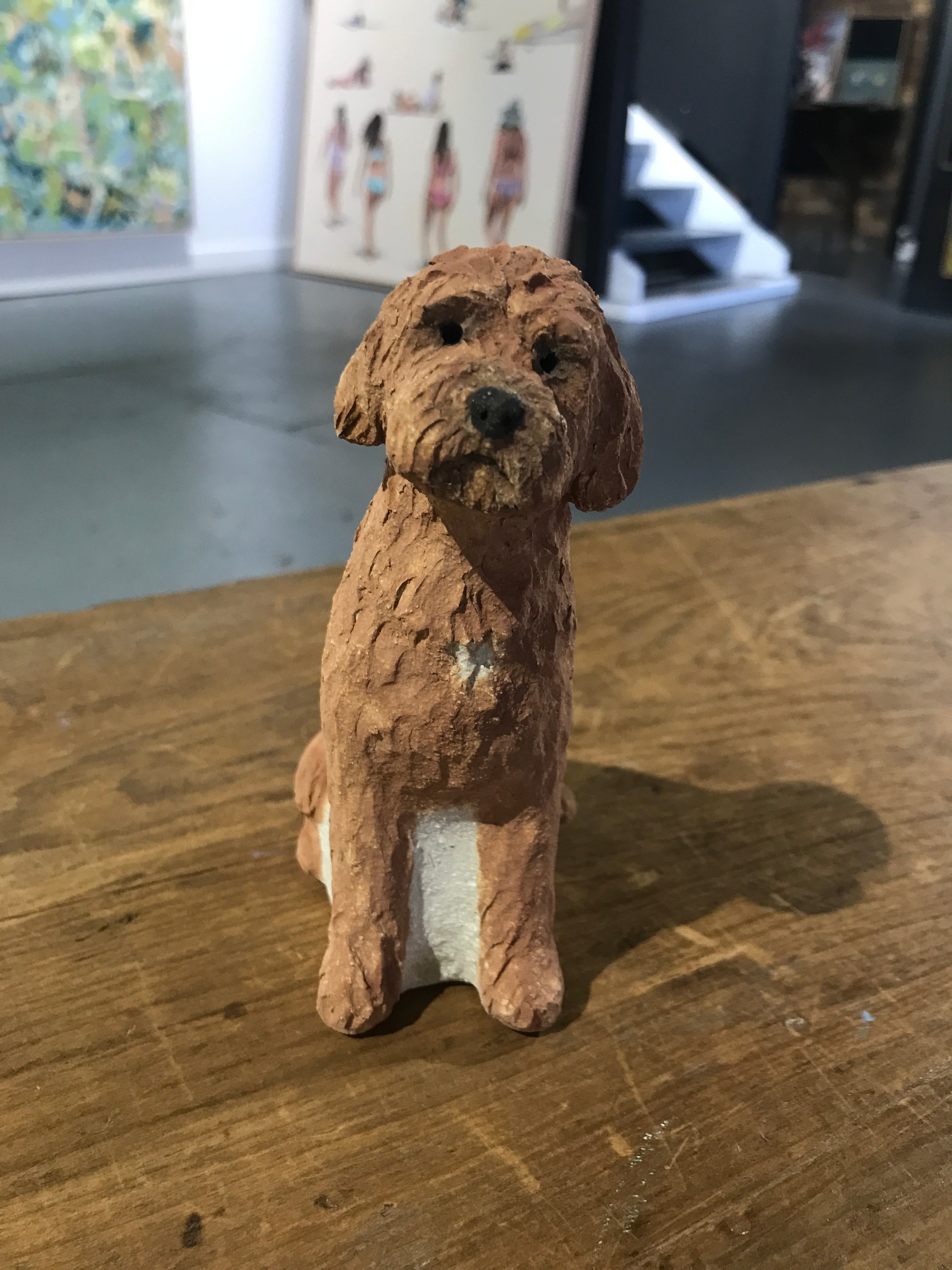 Penny Ruthberg - Cavoodle