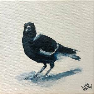 Kylie van Tol - Magpie 11