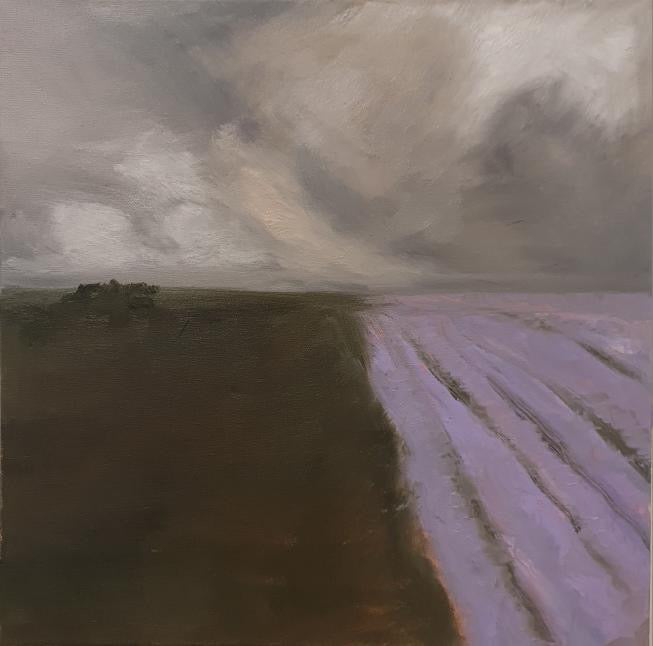 Jessica Olpp - Champs de Lavande