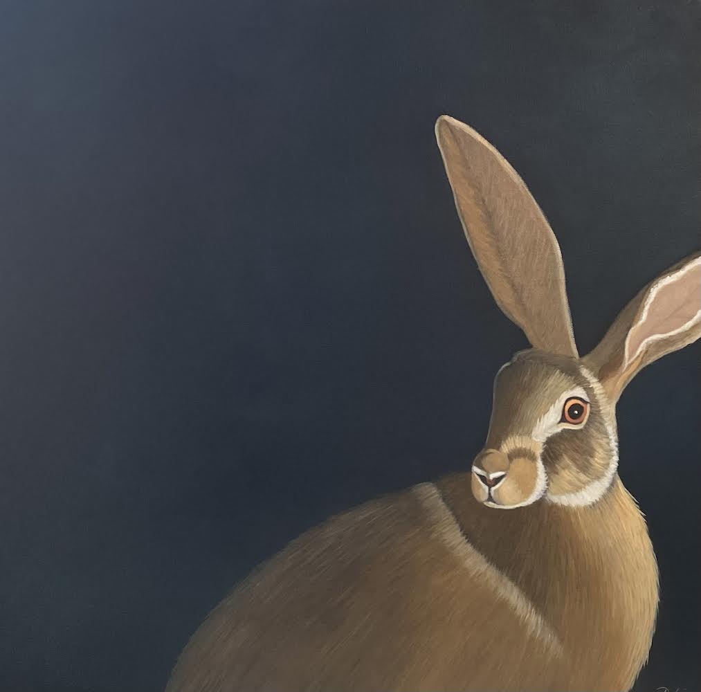 Di Crisp - The Hare