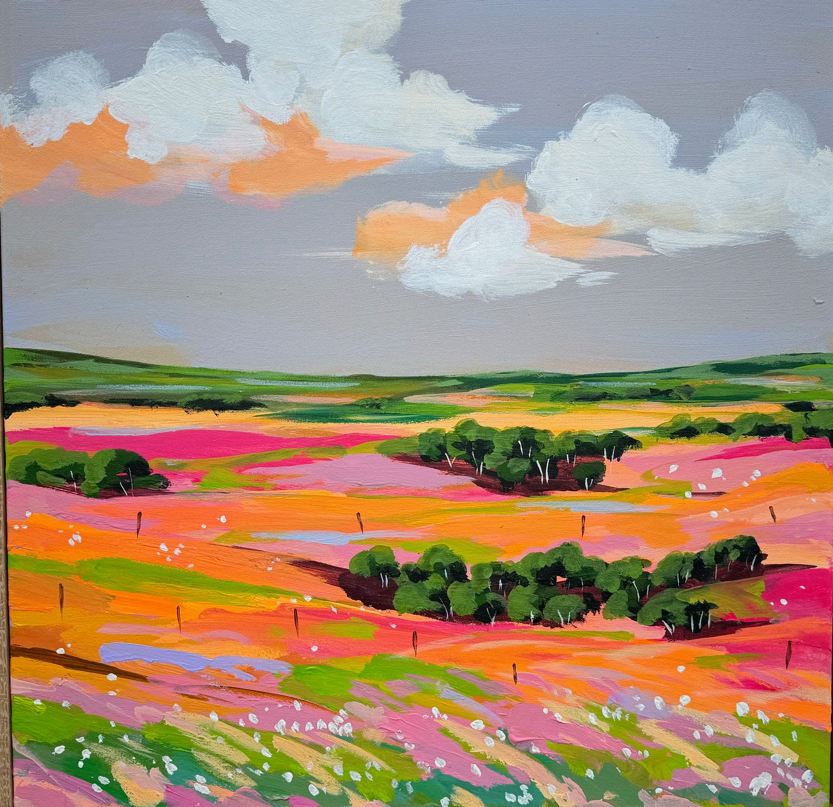 Ka Mo - Butterflies field