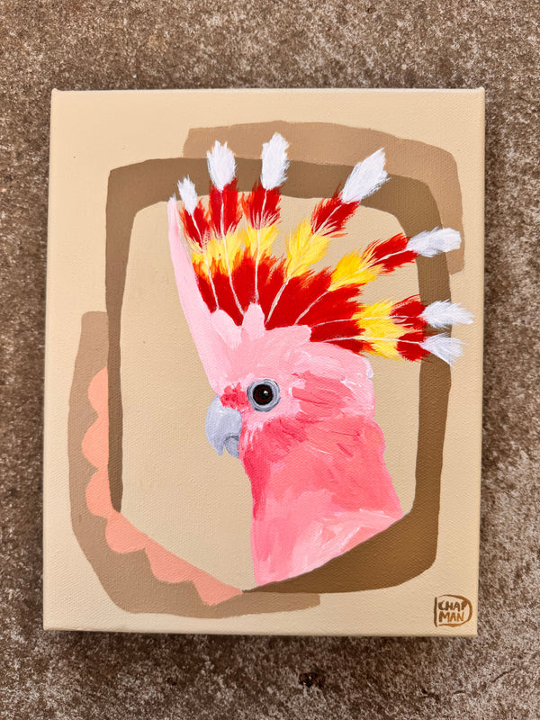 Deb Chapman - Donnie