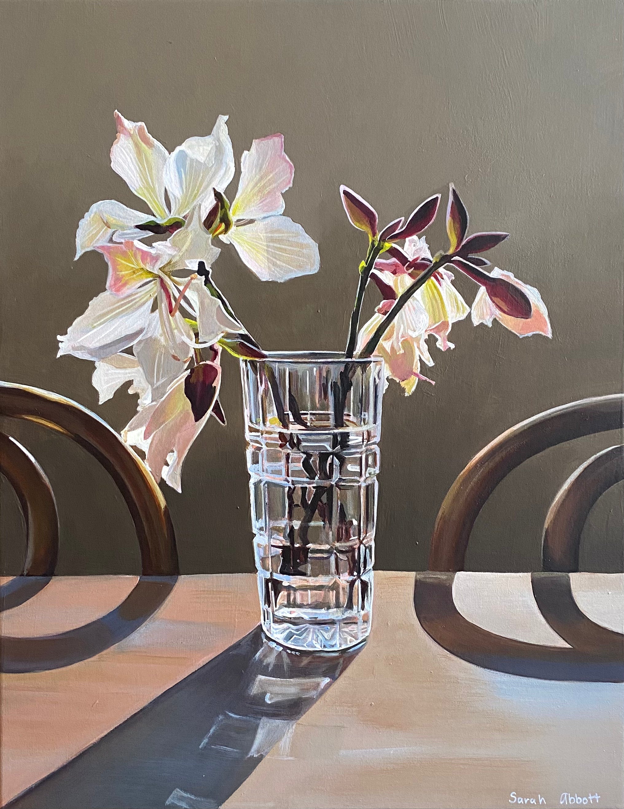 Sarah Abbott - Shadow shifter