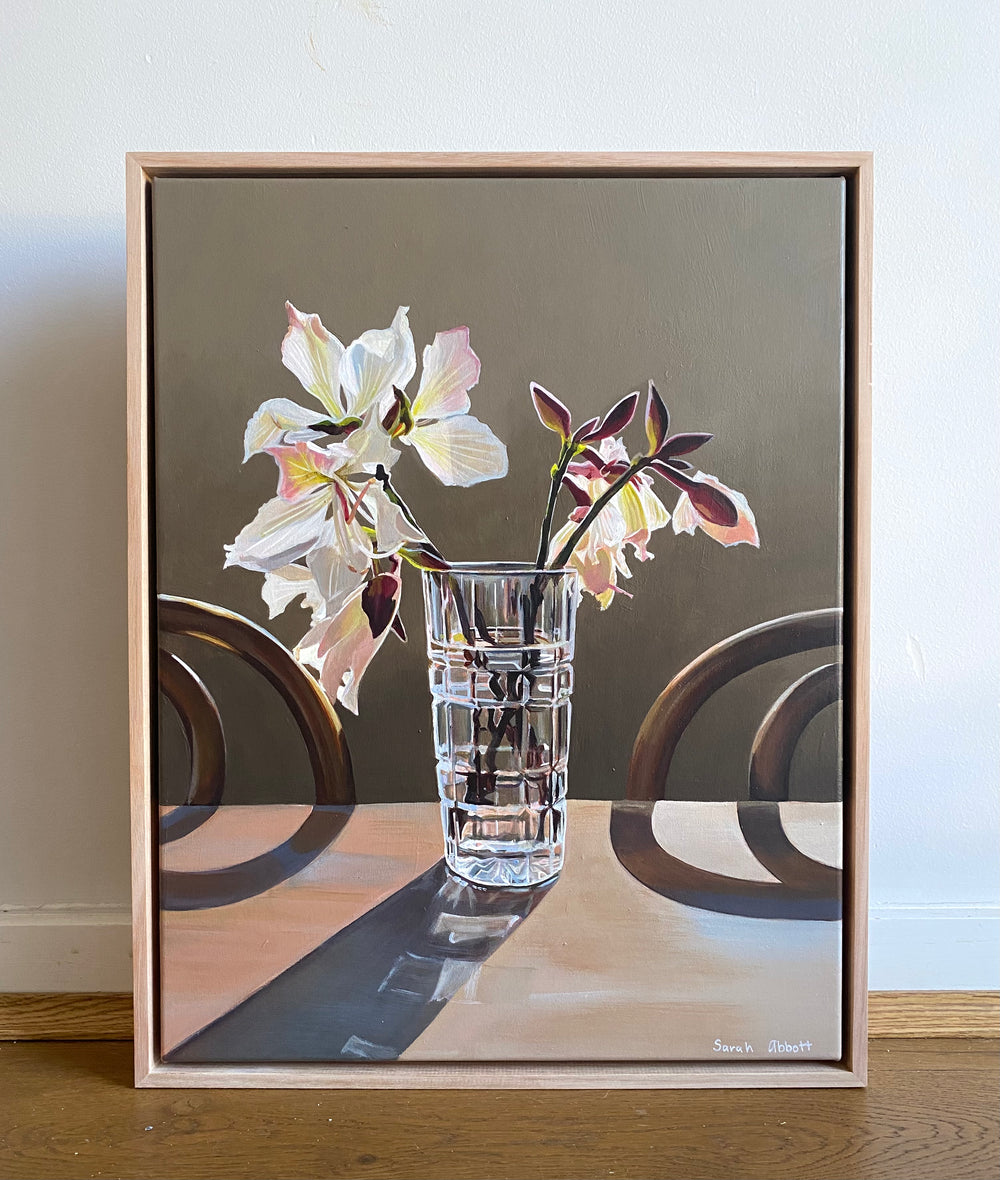 Sarah Abbott - Shadow shifter