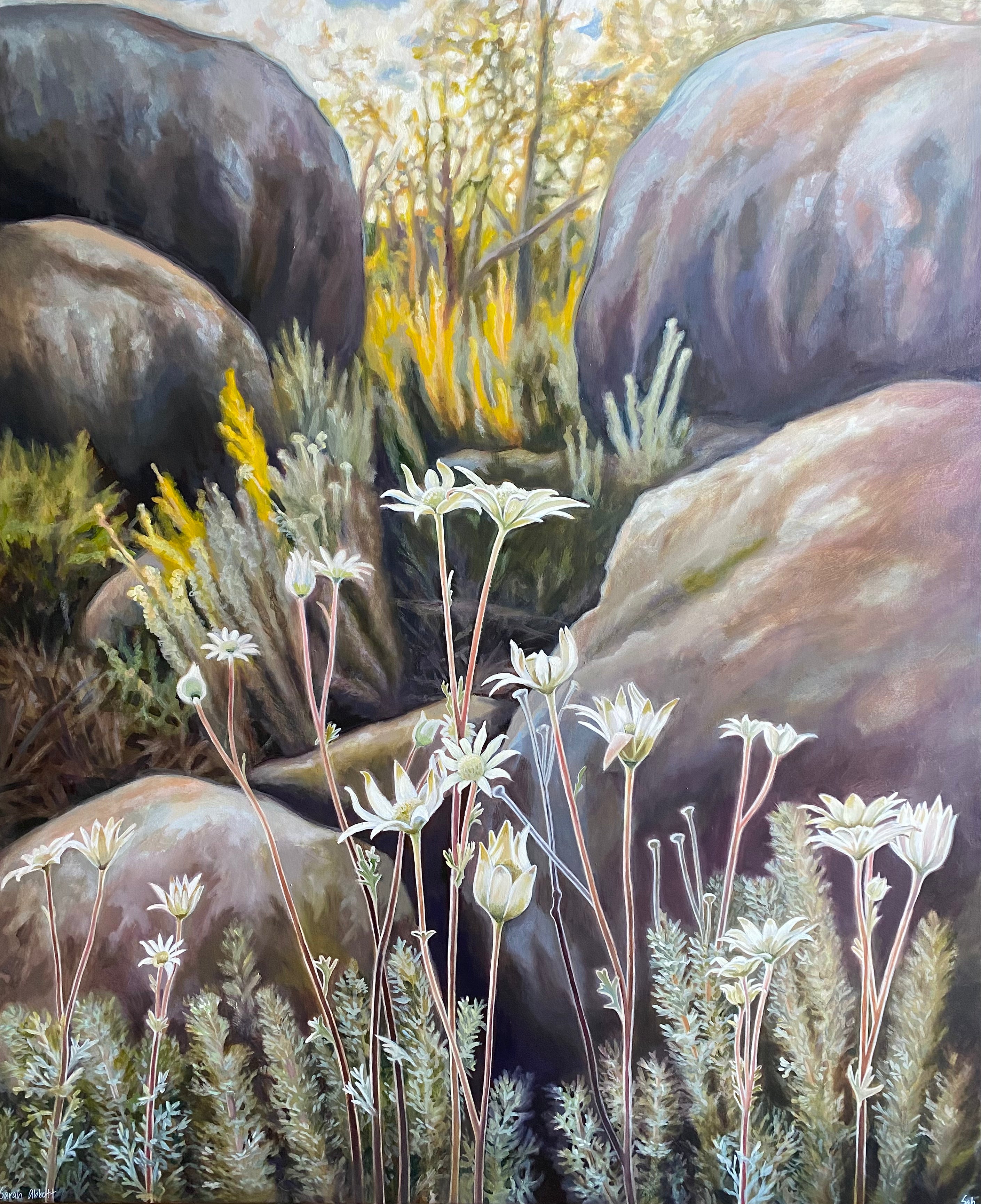 Sarah Abbott - Granite Country