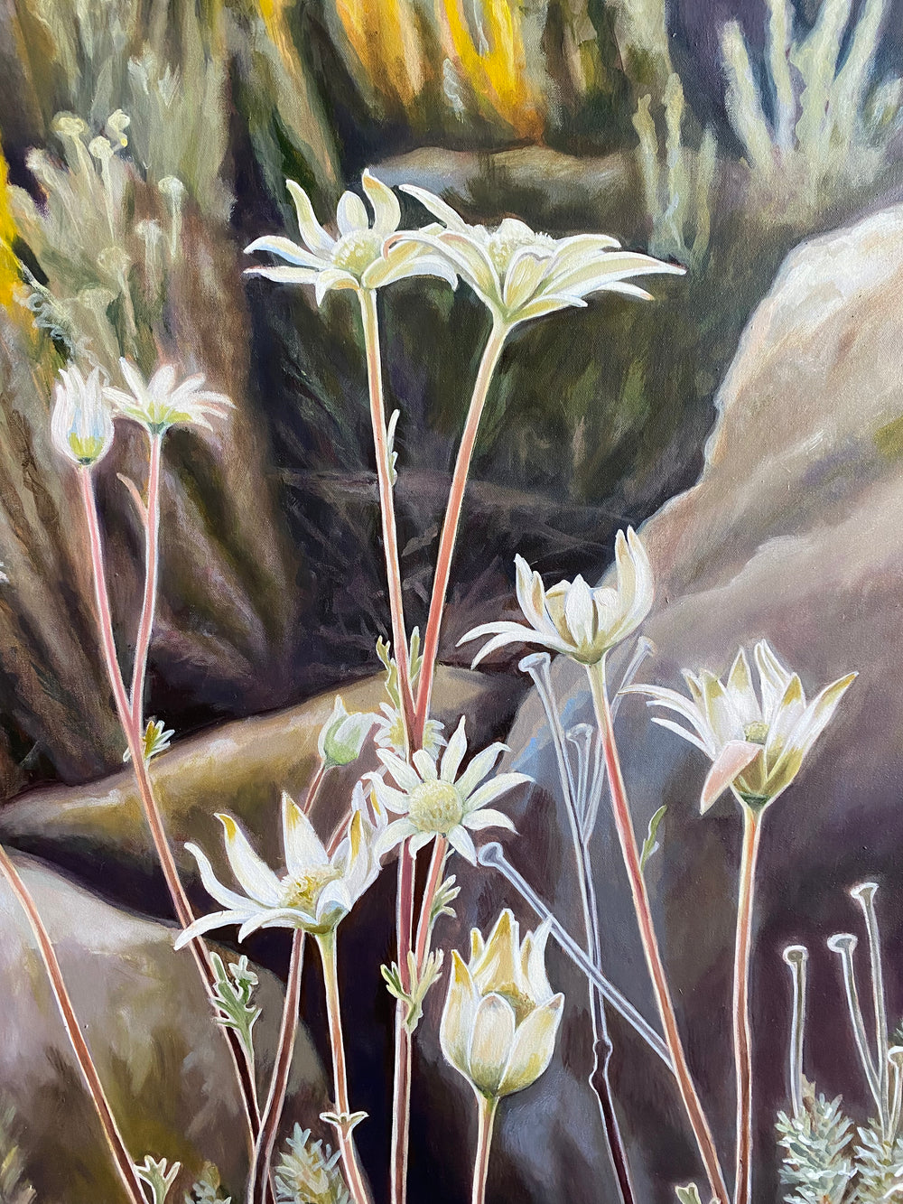 Sarah Abbott - Granite Country