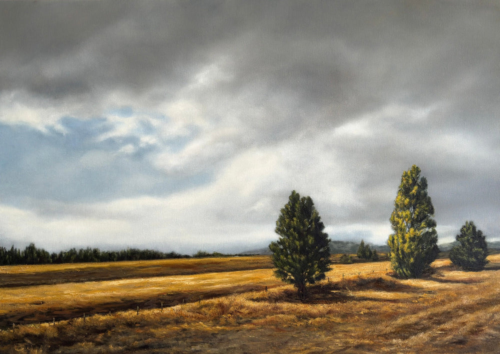 Annie Hawkins - Lost in the land of the long white cloud