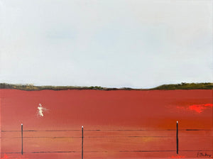 Paula Mackay - Stranger in the Scrub