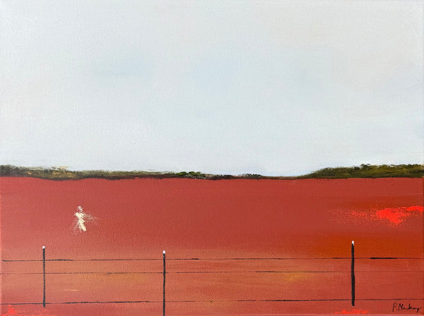 Paula Mackay - Stranger in the Scrub
