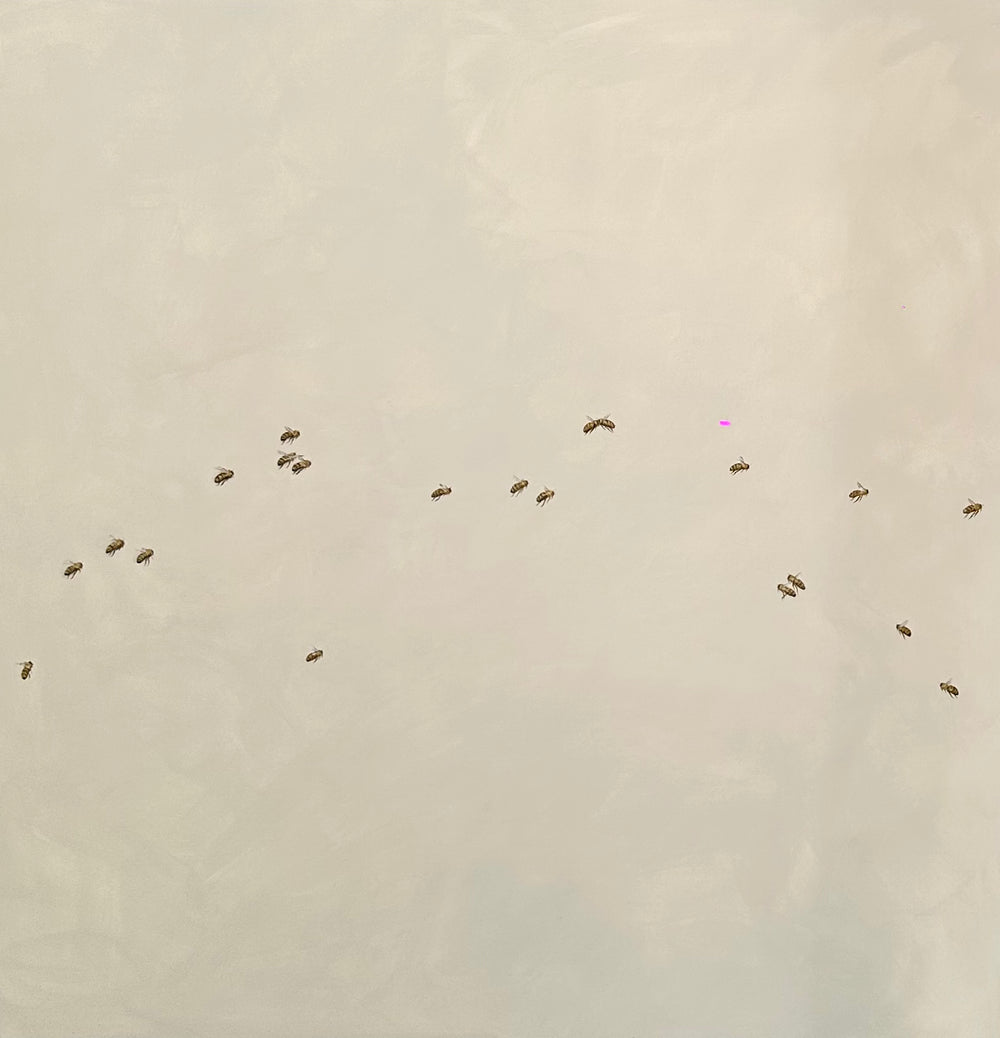 Monique Correy - Hush