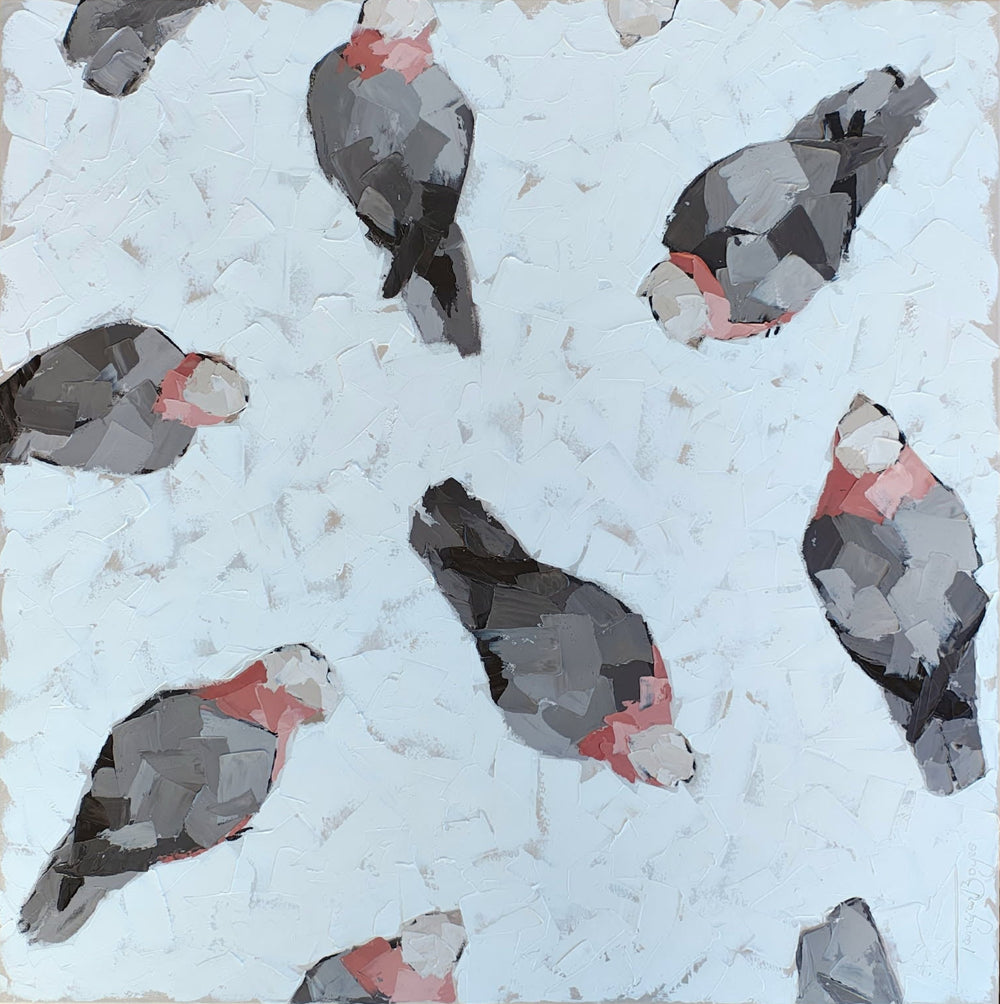 Tanya Boyes - From above, from within