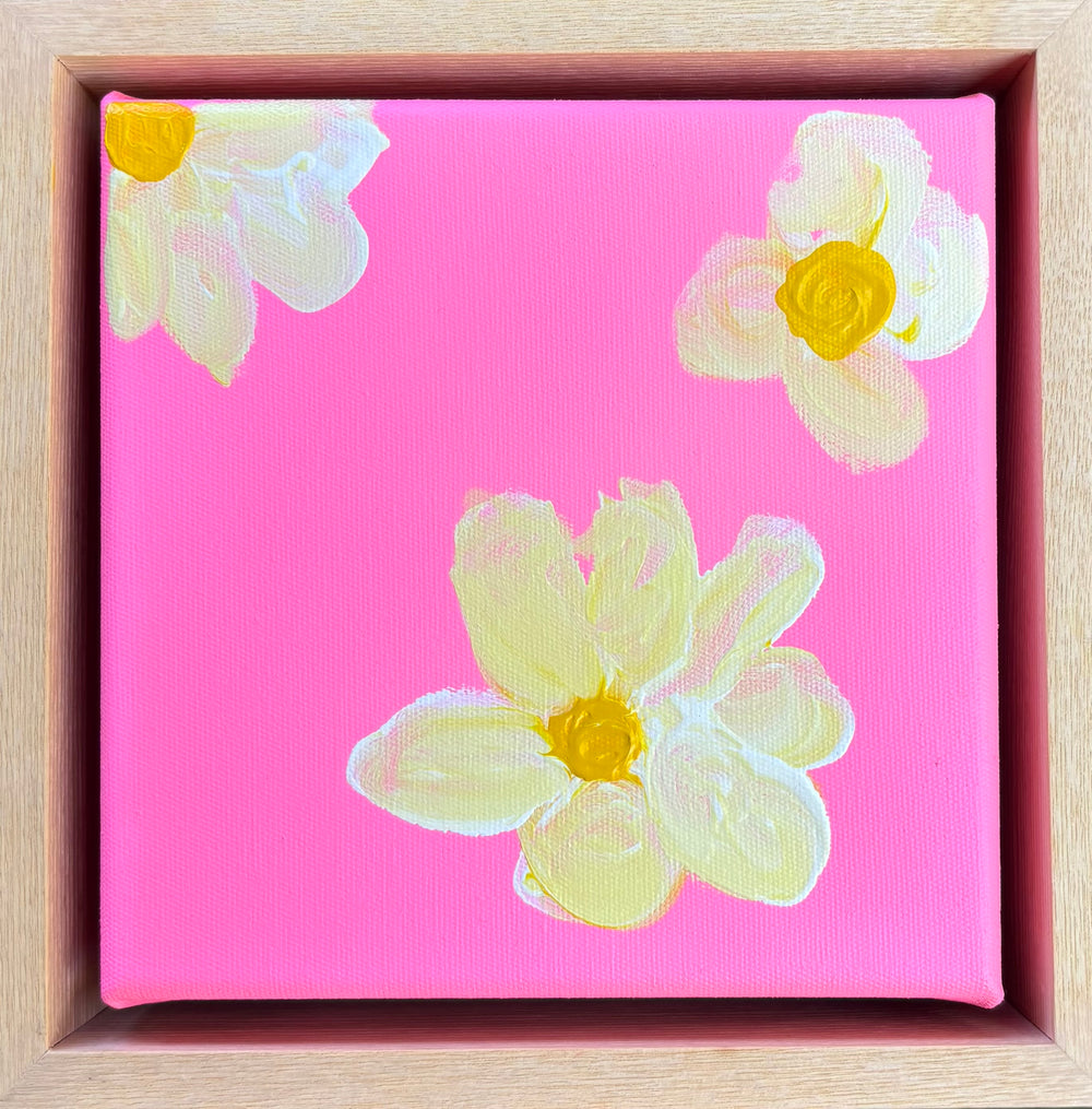 Category 4 TNBT 2025 (Under 13) - Goldie Vogue - Bloom