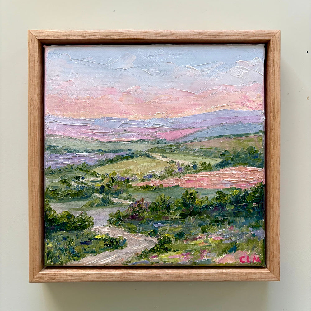 Charlotte Moore - Through The Blushing Valley