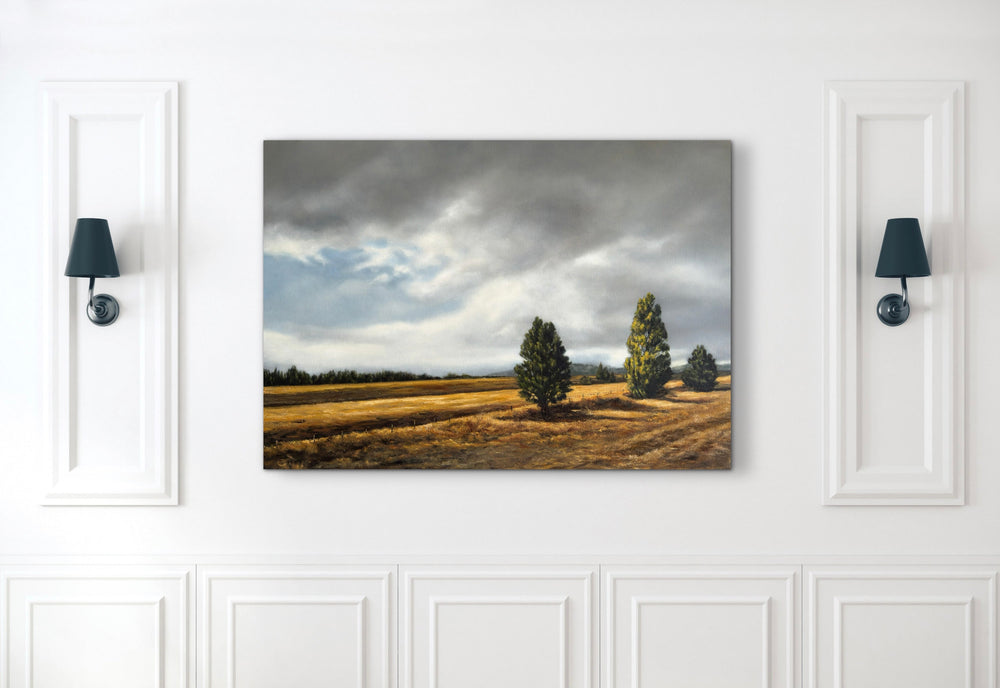 Annie Hawkins - Lost in the land of the long white cloud