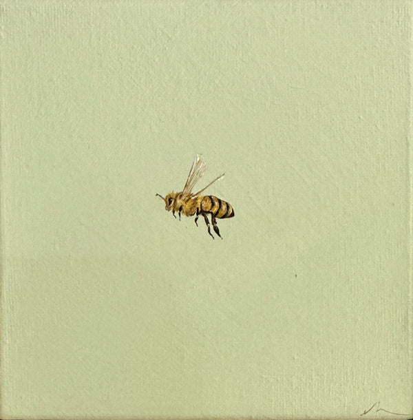 Monique Correy - Sprinkle