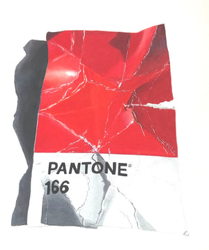 Kae Norman - Pantone 166 Red