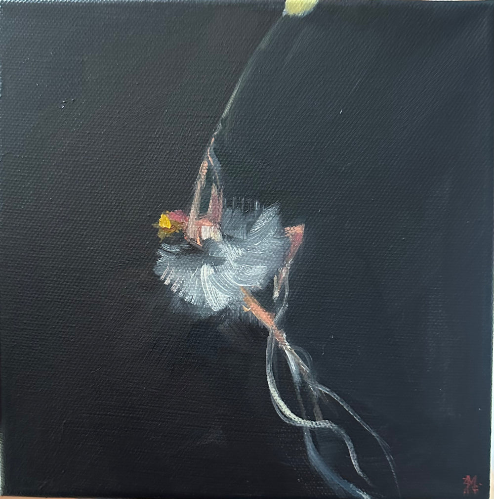 Zory McGrath - Little Ballerina #1