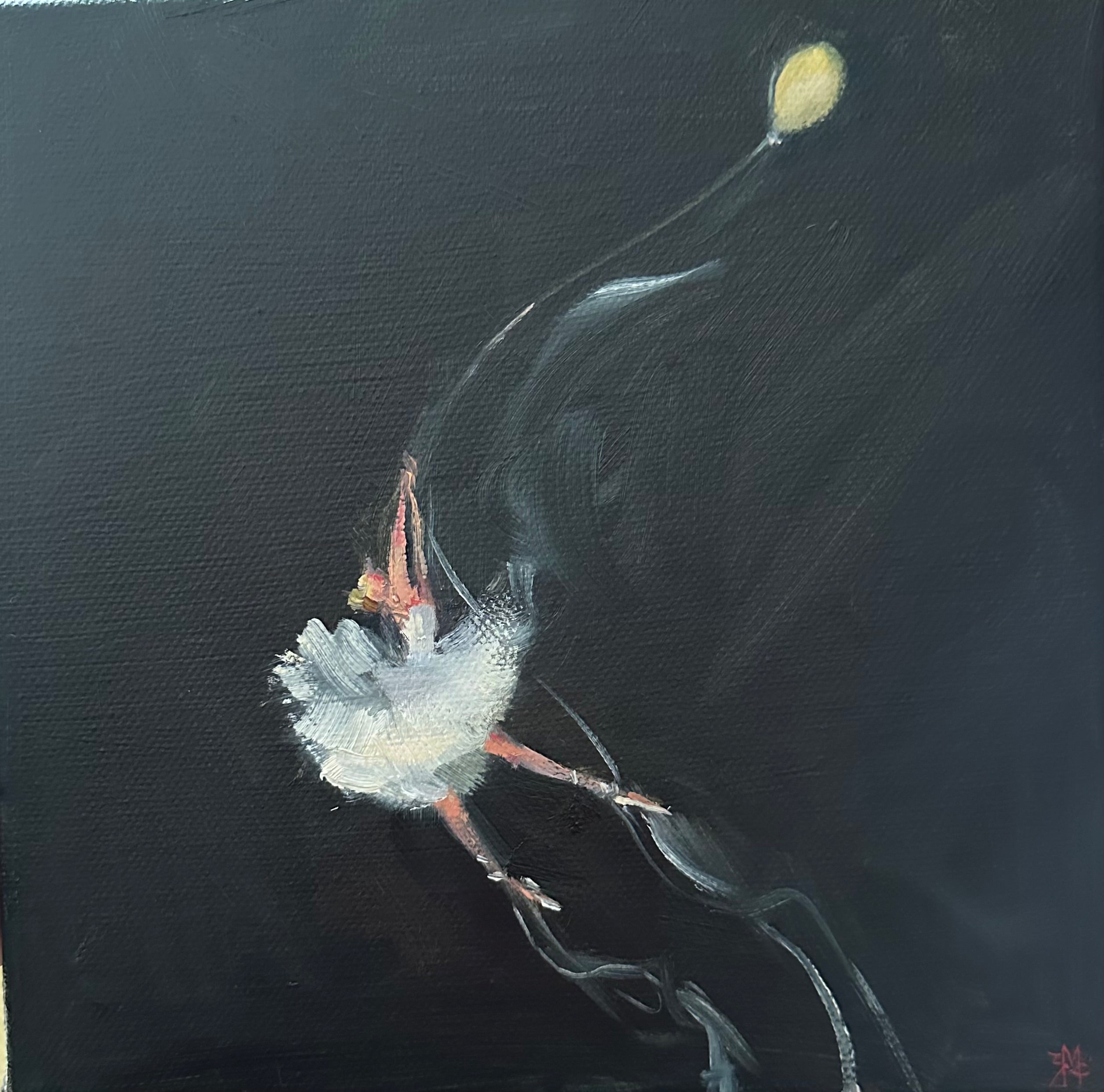 Zory McGrath - Little Ballerina #2