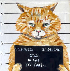 Karen Gray - Shat in the pot plant