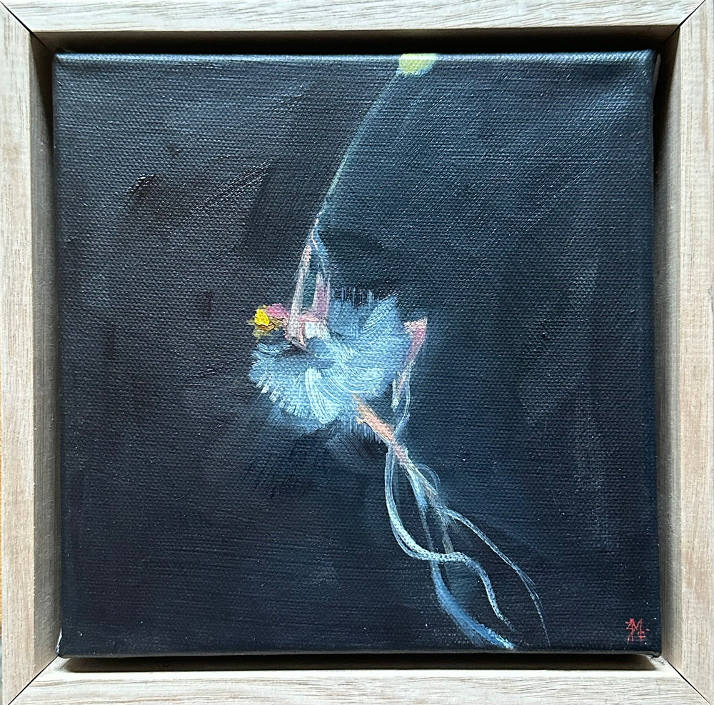 Zory McGrath - Little Ballerina #1