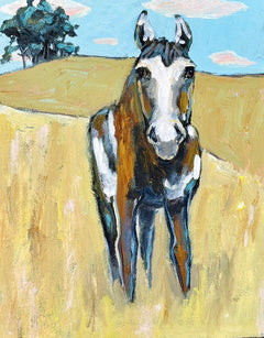Karen Gray - Paint pony