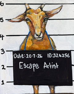 Karen Gray - Escape artist