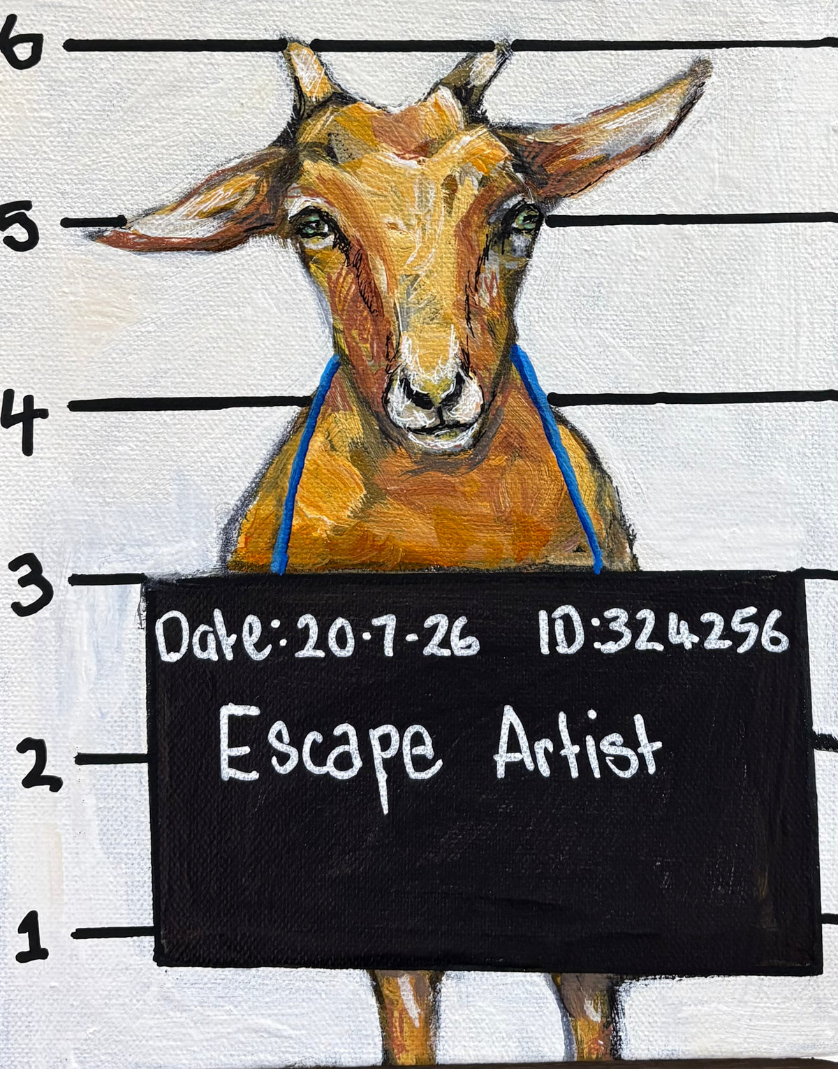 Karen Gray - Escape artist