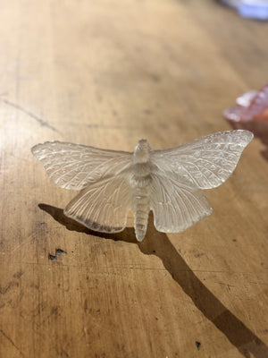Luke Jacomb Studio - Moth (Wings Out - Pale Bronze)