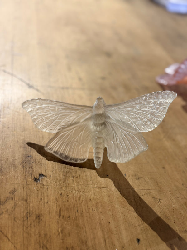 Luke Jacomb Studio - Moth (Wings Out - Pale Bronze)
