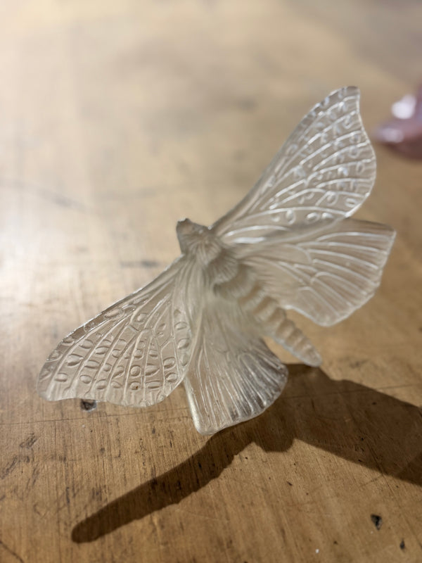 Luke Jacomb Studio - Moth (Wings Out - Pale Bronze)