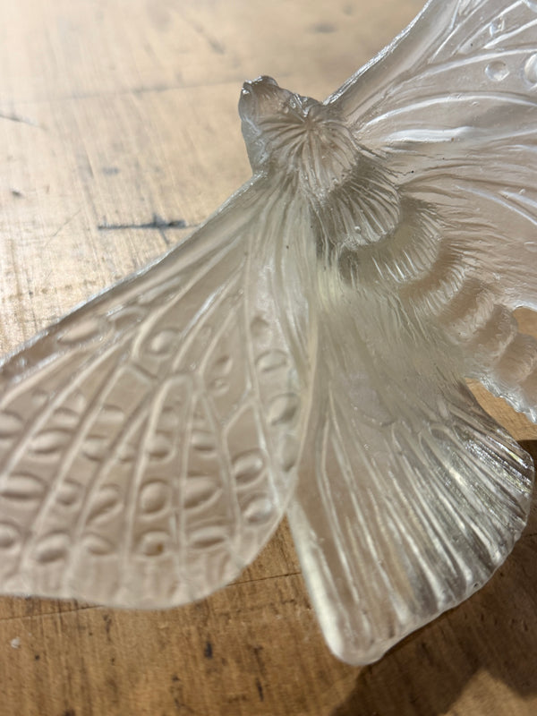 Luke Jacomb Studio - Moth (Wings Out - Pale Bronze)