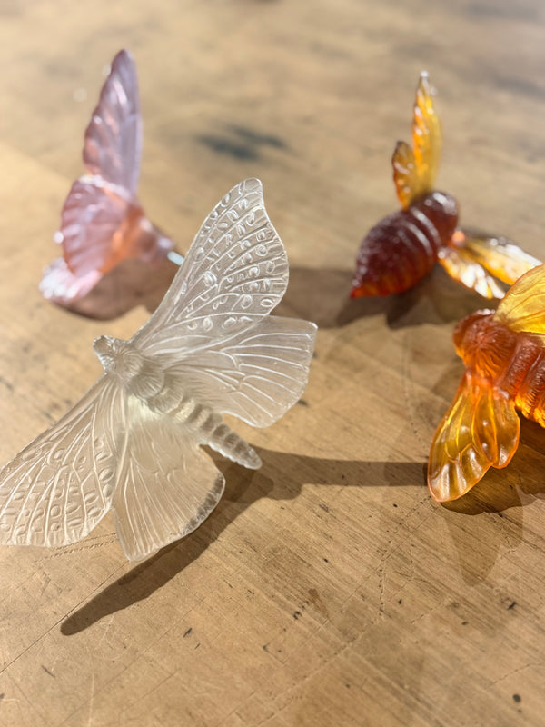 Luke Jacomb Studio - Moth (Wings Out - Pale Bronze)