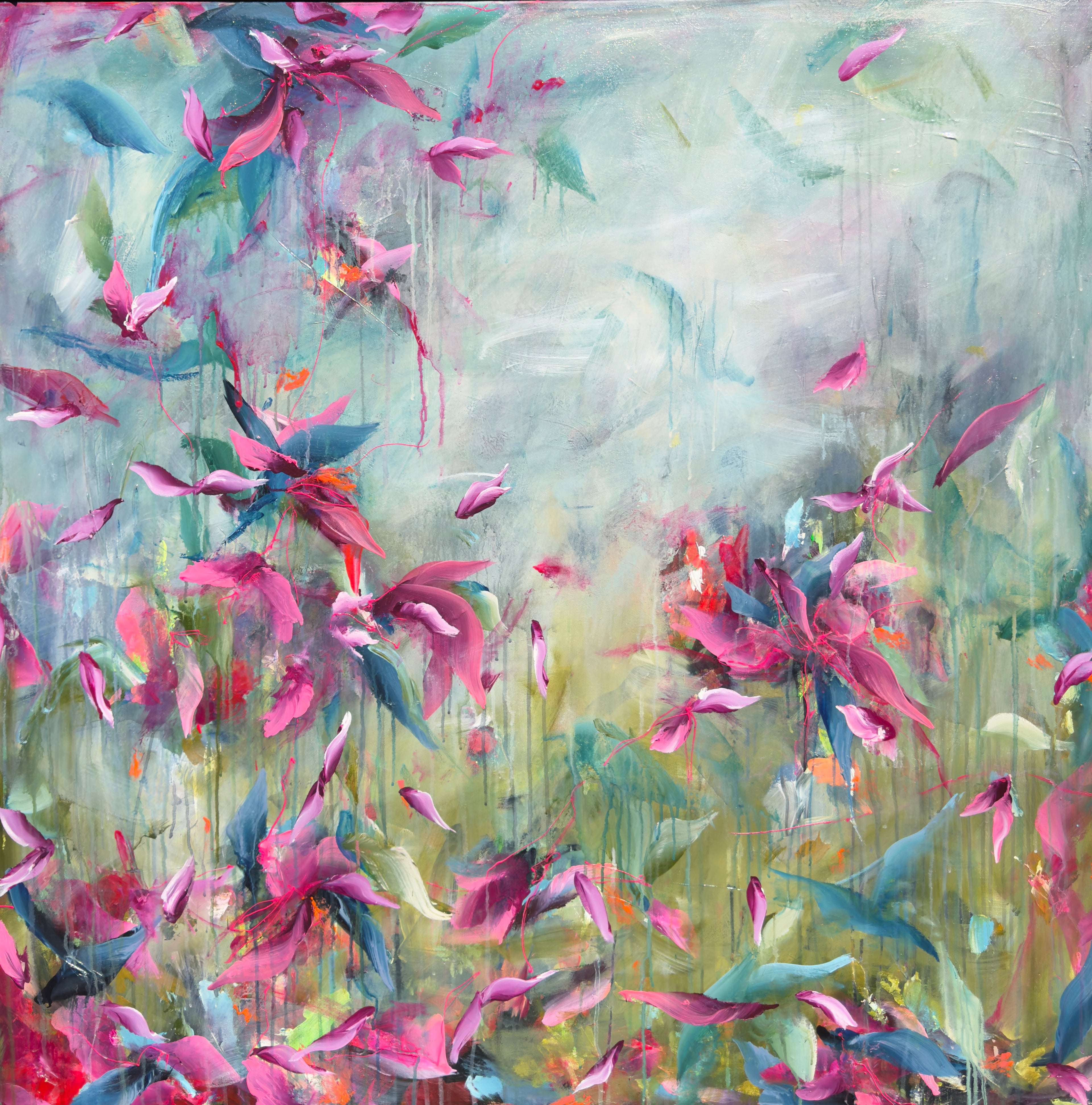 Ailish Bourke - Heath is a Border Terrier and he is a stud dog