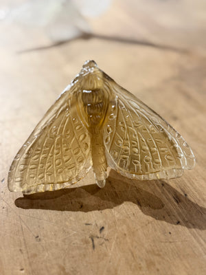 Luke Jacomb Studio - Moth (Wings down - Bronze)