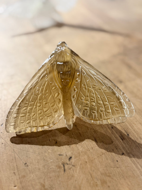 Luke Jacomb Studio - Moth (Wings down - Bronze)