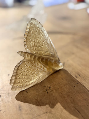 Luke Jacomb Studio - Moth (Wings down - Bronze)