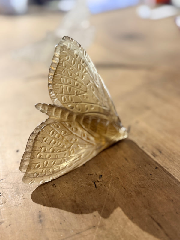 Luke Jacomb Studio - Moth (Wings down - Bronze)