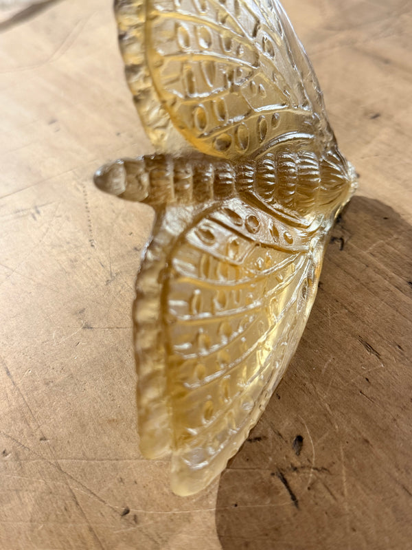 Luke Jacomb Studio - Moth (Wings down - Bronze)