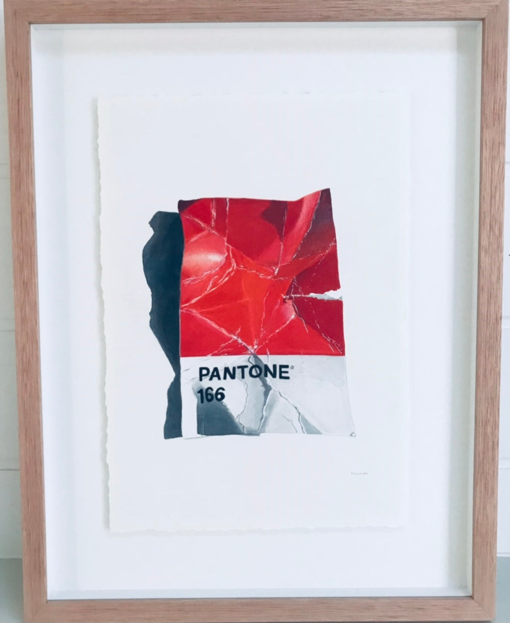 Kae Norman - Pantone 166 Red