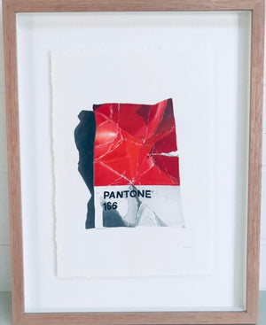 Kae Norman - Pantone 166 Red